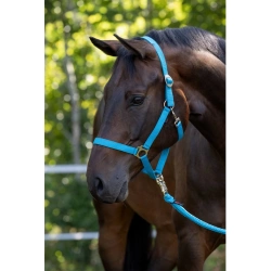 Kantar dla konia Hippo, niebieski, Covalliero