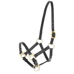 Kantar dla konia Eco, skórzany, czarny, Covalliero