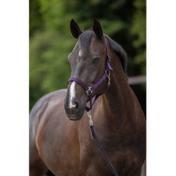 Kantar dla konia Hippo, fioletowy, Covalliero