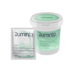 Preparat przeciw biegunce dla cieląt Calfix 1kg RUMINTA