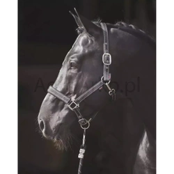 Kantar dla konia Reflective, czarny/srebrny, Covalliero