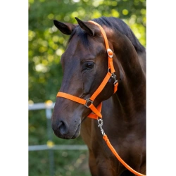 Kantar dla konia, pomarańczowy, Covalliero