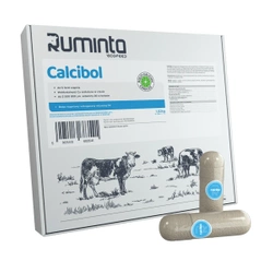 Calcibol bolus Ruminta - bolus wapniowy z pięcioma formami wapnia 12 szt.