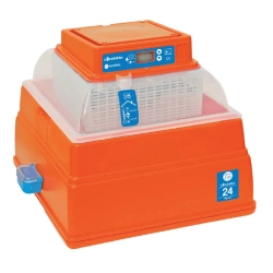 Inkubator jaj COVATUTTO 24 ze sterownikiem cyfrowym + IS