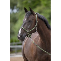 Kantar dla konia Hippo, antracyt/jasnozielony, Covalliero