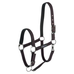 Kantar dla konia Royal, czarny/fuksja, Covalliero