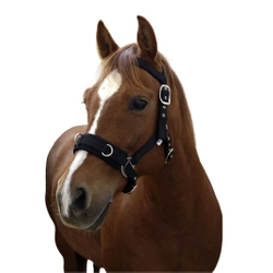 Kawecan dla konia, czarny, Covalliero 4018653934876