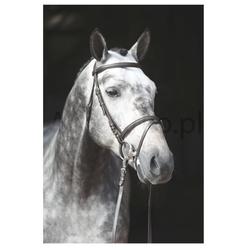 Ogłowie dla konia Standard, brązowy, Covalliero