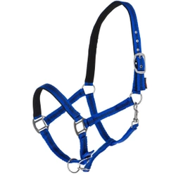 Kantar dla konia Mustang niebieski/czarny Covalliero