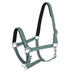 Kantar dla konia Doria, zielony, Covalliero