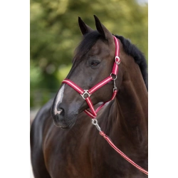 Kantar dla konia bordowo/beżowy, Hippo, Covalliero