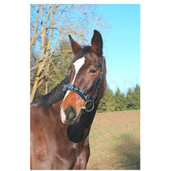 Kawecan dla konia, skórzany, czarny, Covalliero 4018653934845