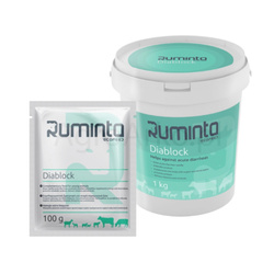 Preparat przeciw ostrej biegunce dla cieląt Diablock 1 kg RUMINTA